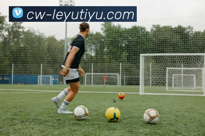 App Interface Preview