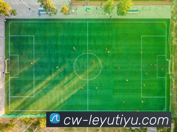 乐鱼体育APP 封面图